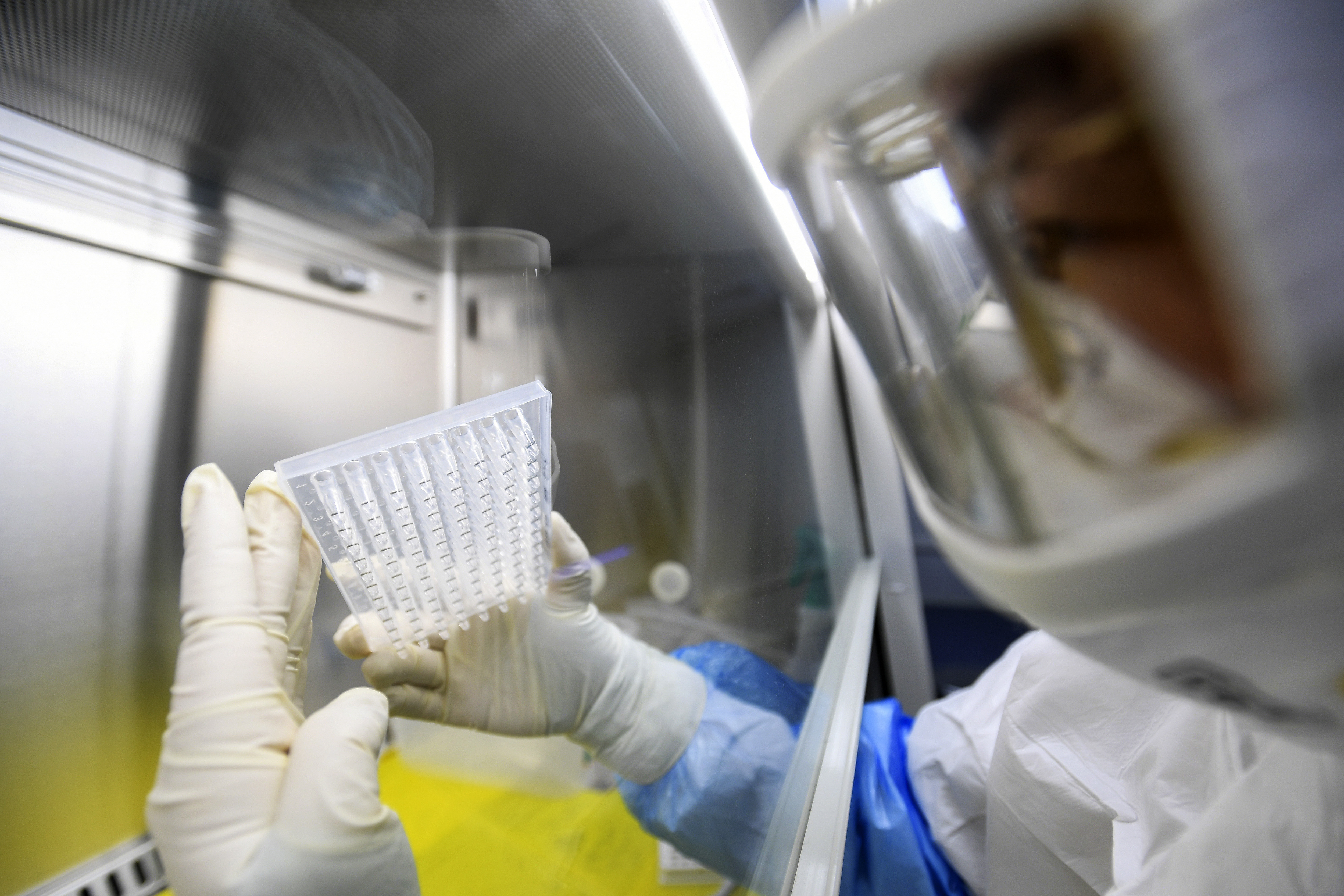 Coronavirus Coronavirus